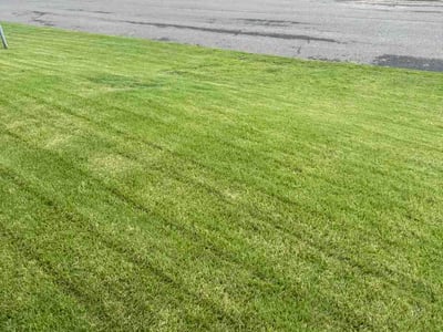 Lawn Care service in Clinton, 20735