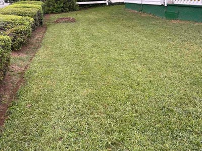 Lawn Care service in Charlottesville, 22902