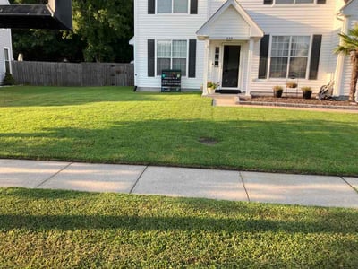 Lawn Care service in Charlottesville, 22902