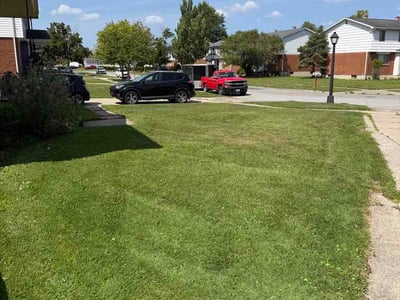 Lawn Care service in Depew, 14043