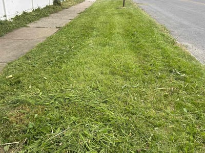 Lawn Care service in Depew, 14043