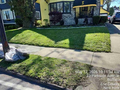 Lawn Care service in Grand Island, 14072