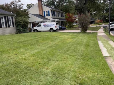 Lawn Care service in Burke, 22015