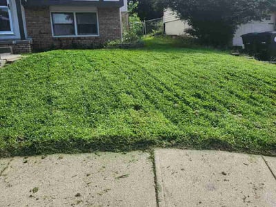 Lawn Care service in Idaho Falls, 83402