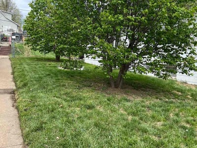 Lawn Care service in Paradise, 95969
