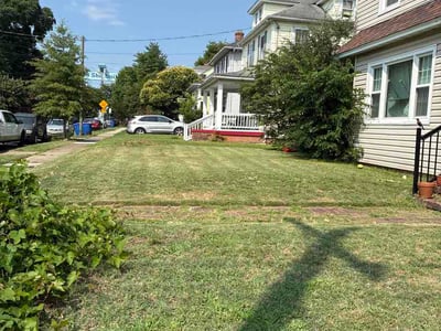 Lawn Care service in Newport News, 23606