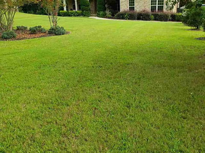 Lawn Care service in Owensboro, 42303
