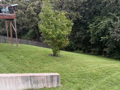 Lawn Care service in Platte City, 64079