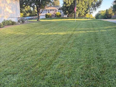Lawn Care service in Platte City, 64079