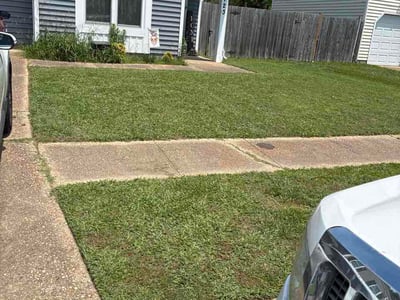 Lawn Care service in Danville, 24541