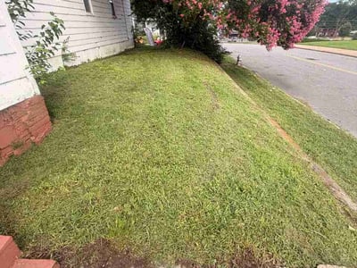 Lawn Care service in Mechanicsville, 23111
