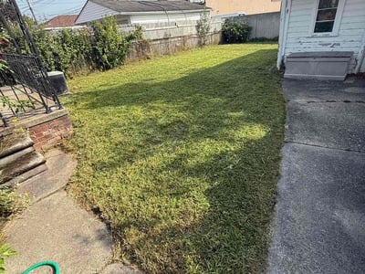 Lawn Care service in Walled Lake, 48390