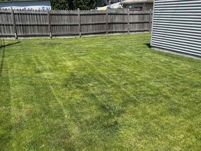 Lawn Care service in West Allis, 53214