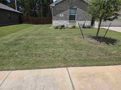 Lawn Care service in San Benito, 78586