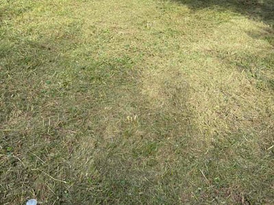 Lawn Care service in Ozark, 65721