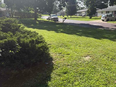Lawn Care service in Urbana, 61801