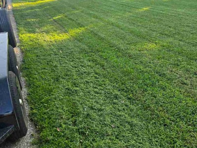 Lawn Care service in Urbana, 61801