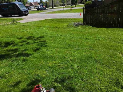 Lawn Care service in North Tonawanda, 14120