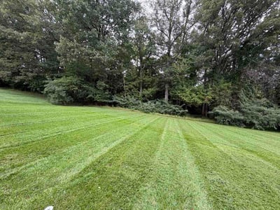 Lawn Care service in Reston, 20190