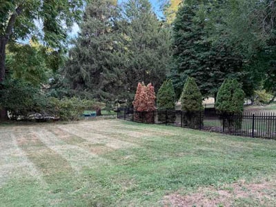 Lawn Care service in Granite City, 65401
