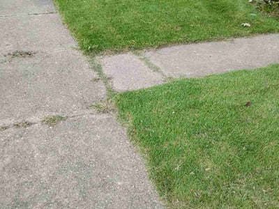Lawn Care service in Gloucester, 23061
