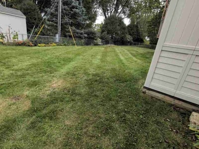 Lawn Care service in Shakopee, 55379