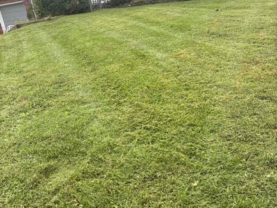 Lawn Care service in Belton, 64012