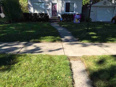 Lawn Care service in Oak Park, 48237