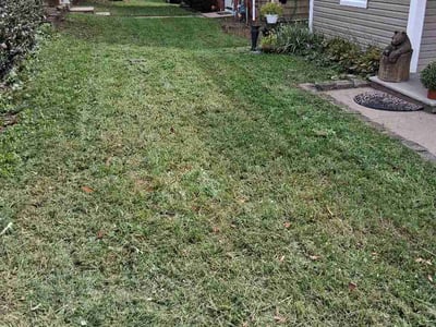 Lawn Care service in Parsippany, 07054