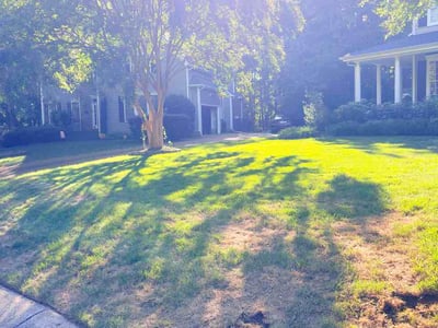 Lawn Care service in Henrico, 23294