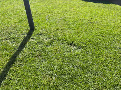 Lawn Care service in Aiken, 29801