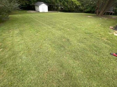 Lawn Care service in Hopewell, 23860