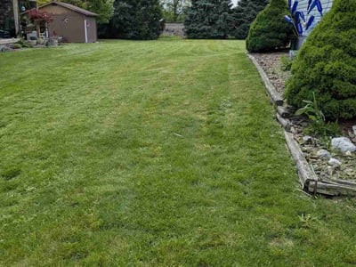 Lawn Care service in Bristow, 20136