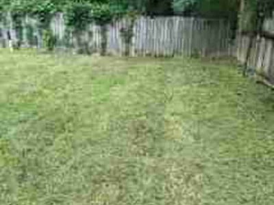 Lawn Care service in Odessa, 79761