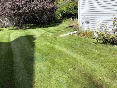 Lawn Care service in Kaukauna, 54130