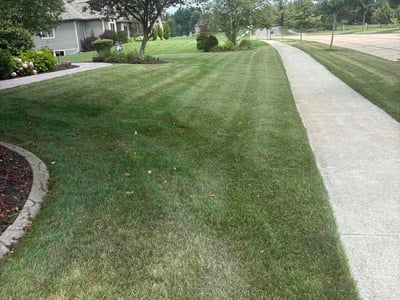 Lawn Care service in Kaukauna, 54130