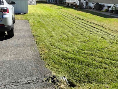 Lawn Care service in Elkton, 21921