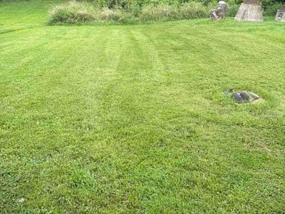 Lawn Care service in Elkton, 21921