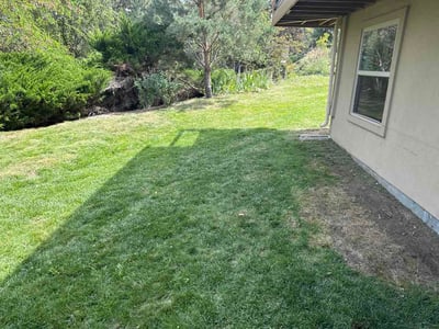 Lawn Care service in Boise, 83702