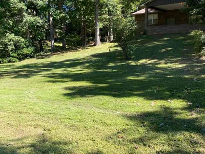 Lawn Care service in Sevierville, 37862