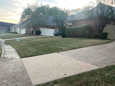 Lawn Care service in Pearl, 39208