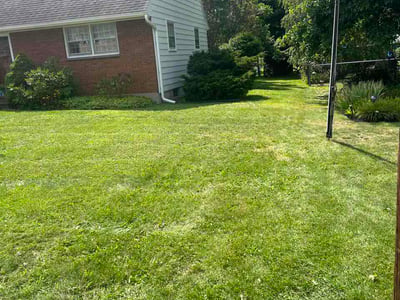 Lawn Care service in Endicott, 13760