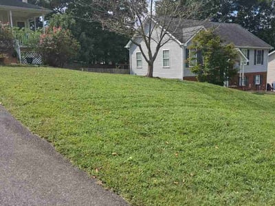 Lawn Care service in Ruther Glen, 22546