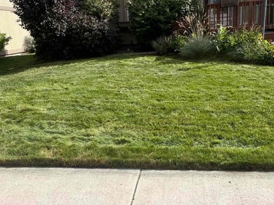 Lawn Care service in Bonney Lake, 98391
