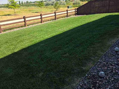 Lawn Care service in Windsor, 95492