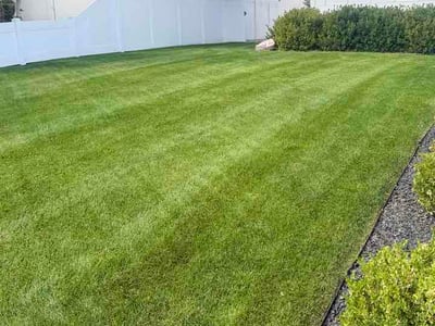 Lawn Care service in Midvale, 84047