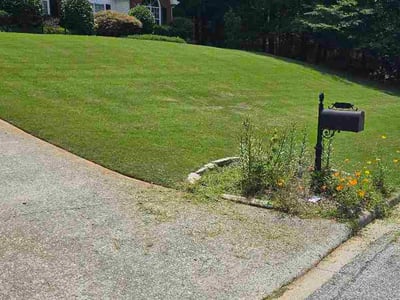 Lawn Care service in Princeton, 24740
