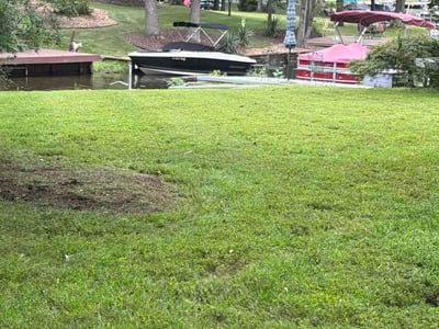 Lawn Care service in Harrisonburg, 22802