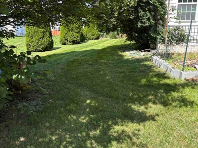 Lawn Care service in Charles Town, 25414