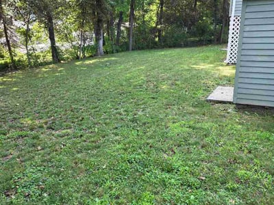 Lawn Care service in Fitchburg, 01420